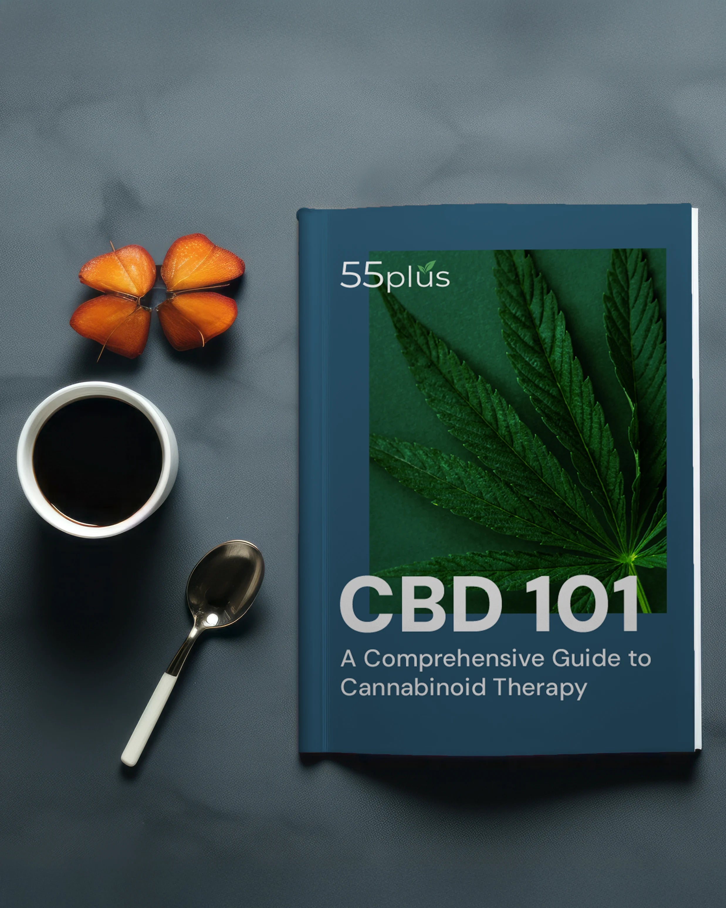 55plus CBD 101 Guide