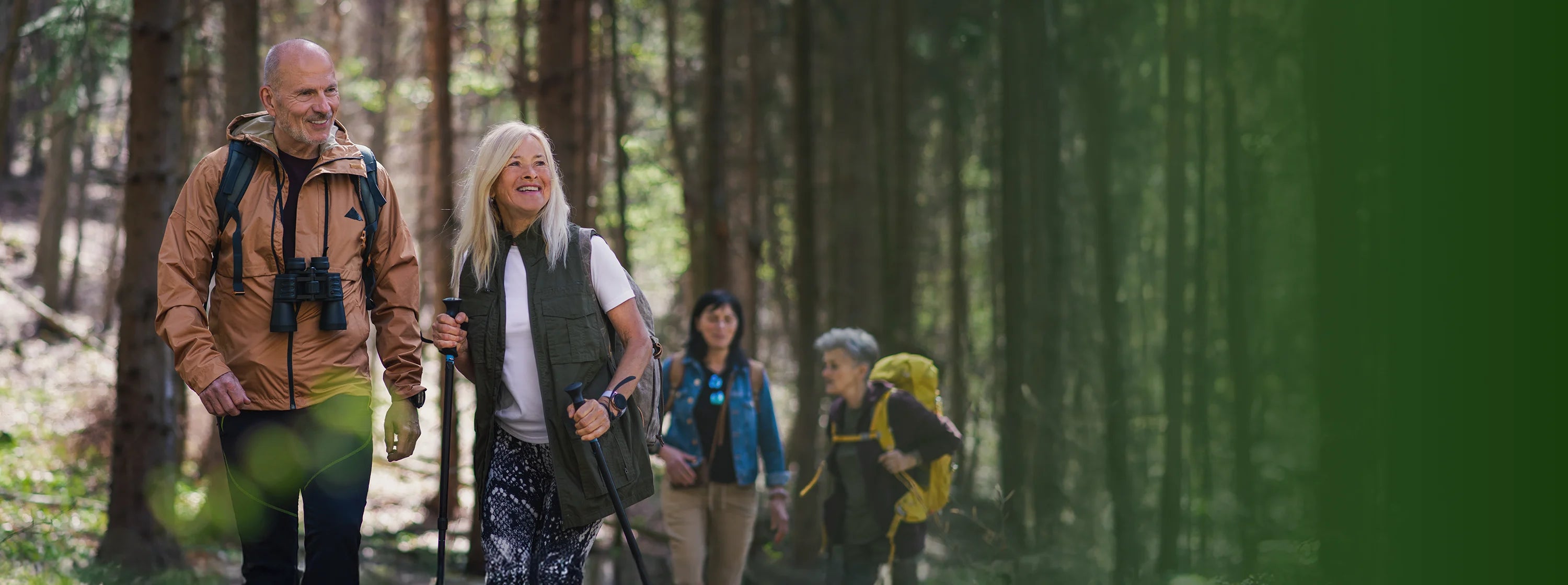 Active seniors hiking in a forest, representing healthy lifestyle benefits of CBD for adults over 55