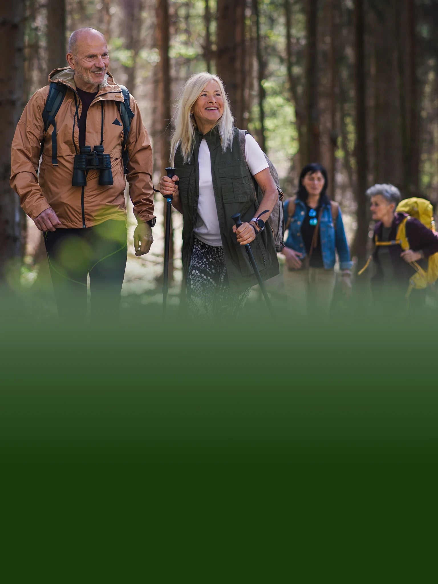 Active seniors hiking in a forest, representing healthy lifestyle benefits of CBD for adults over 55