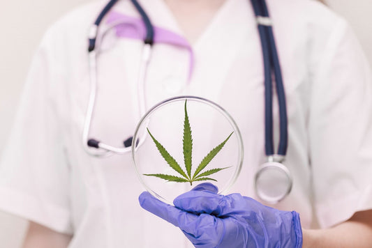 A doctor holding a cannabis leaf medicare for cbd
