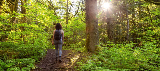 The Healing Power of Nature: Forest Bathing for Seniors - 55plus