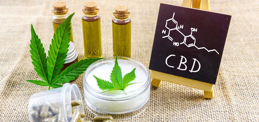 CBD Nutrients Explained and How They Can Help Older Adults - 55plus