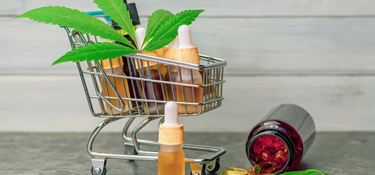 What to Look for When Buying CBD Products: A Purchase Guide - 55plus