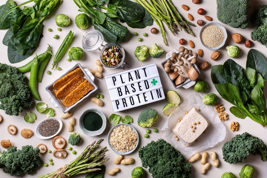 Variety of plant based protein foods for senior longevity
