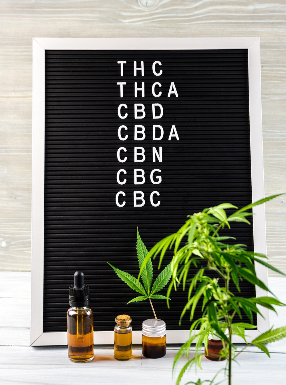 The major cannabinoids spelled on letter board